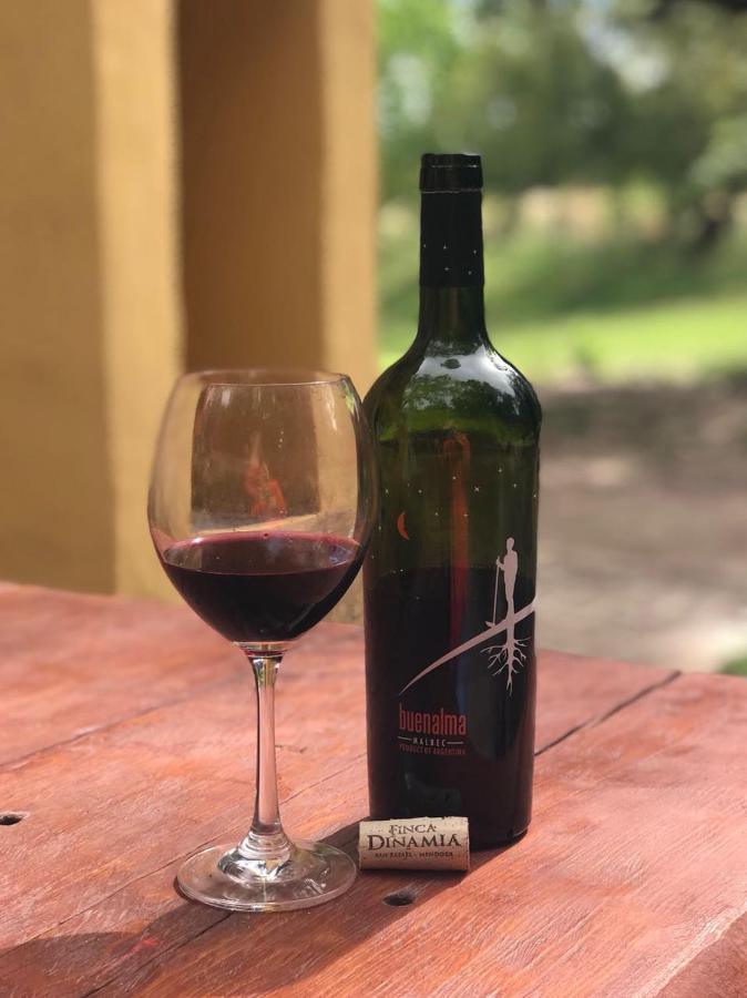 Finca La Encantada San Rafael  Zewnętrze zdjęcie