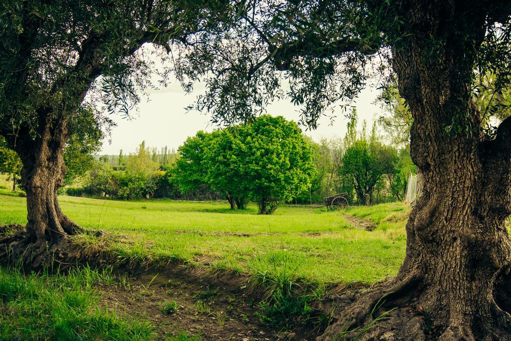 Finca La Encantada San Rafael  Zewnętrze zdjęcie