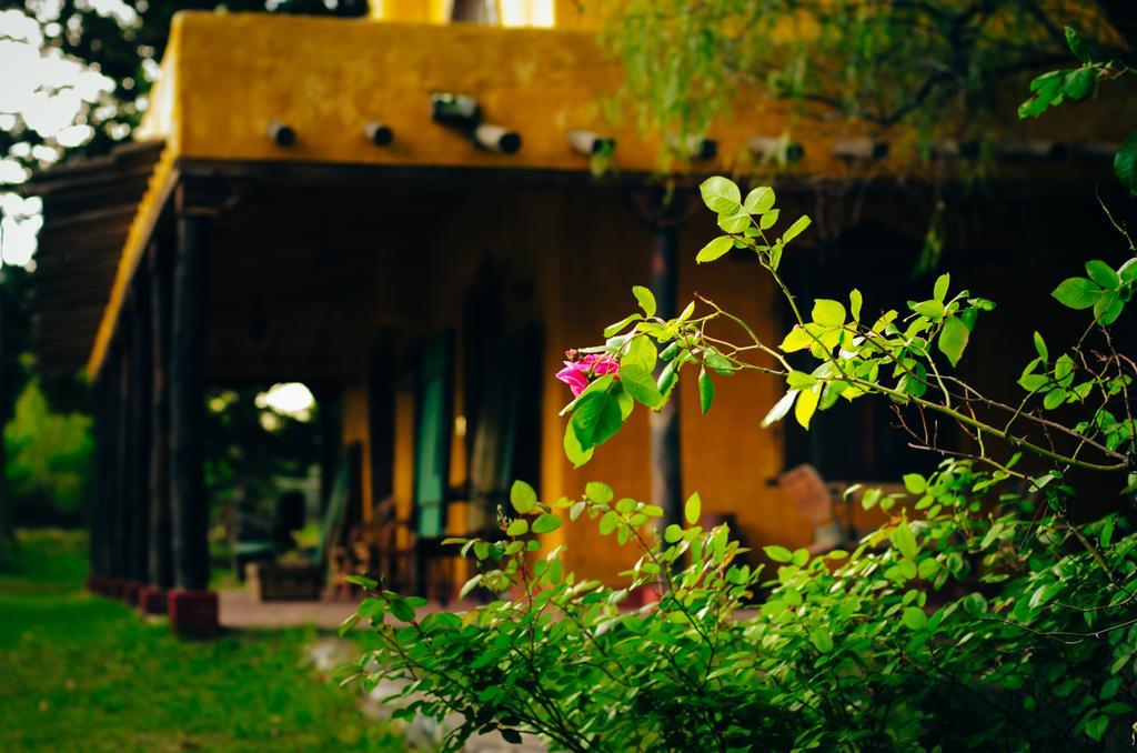 Finca La Encantada San Rafael  Pokój zdjęcie